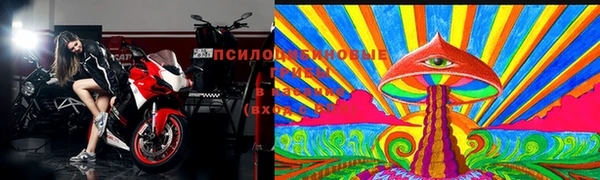 apvp Магас