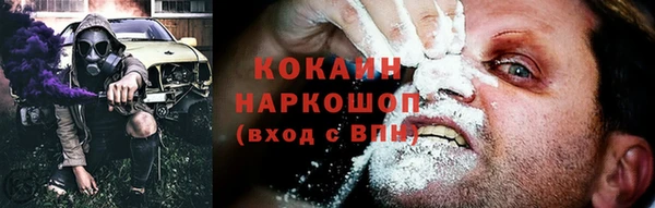 apvp Магас